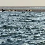 Waves 3* De Koog (Texel)