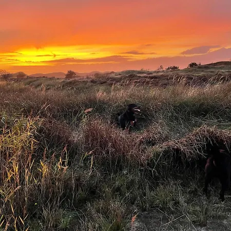 Waves De Koog (Texel)