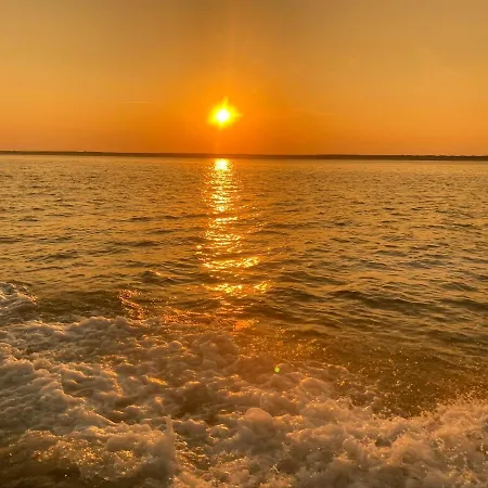Waves דה קוח