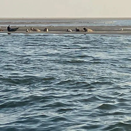 Waves 3* De Koog (Texel)