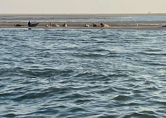 Waves 3* De Koog (Texel)