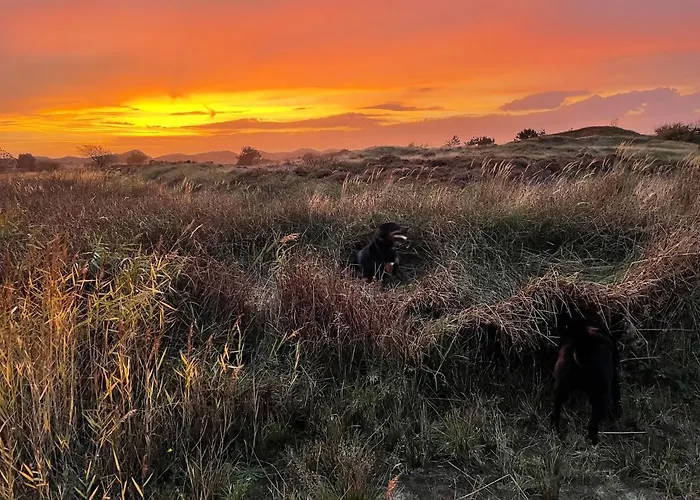 Waves De Koog (Texel)
